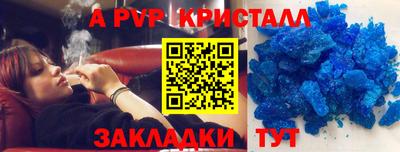 спиды Заводоуковск
