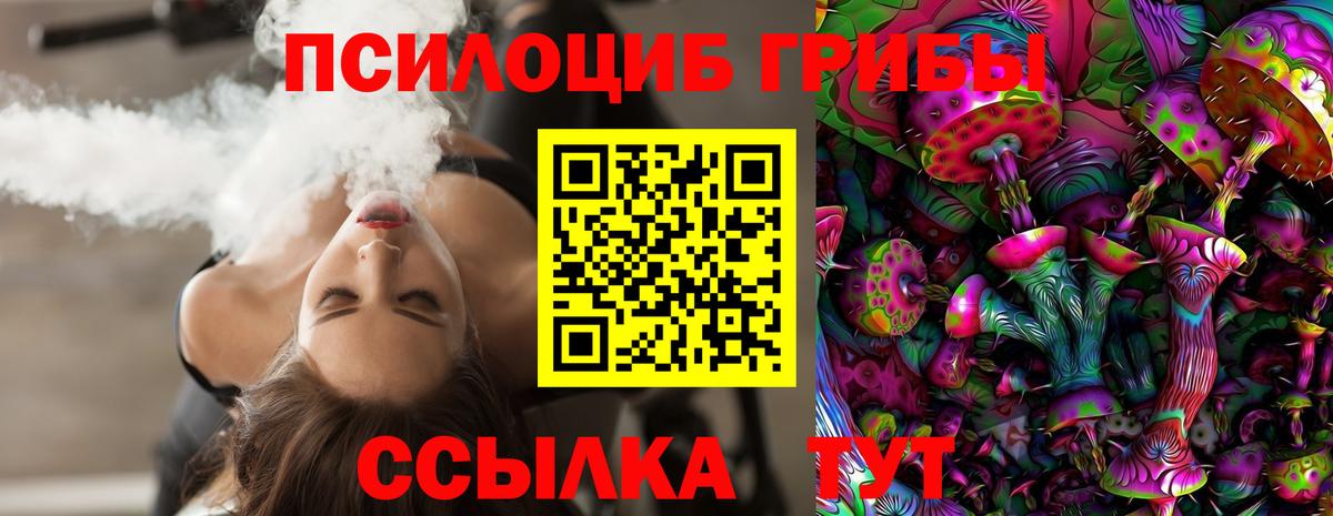 Мичуринск  наркотики  Вход с VPN  Галлюциногенные грибы прущие грибы 
